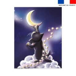 Coupon couverture imprimé chat sirius - Création Stillistic