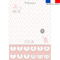 Coupon couverture mensuelle bébé personnalisée - Baby rose et gris