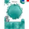 Coupon couverture mensuelle bébé personnalisée - Raton laveur aquarelle