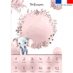 Coupon couverture mensuelle bébé personnalisée - Éléphant aquarelle