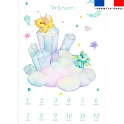 Coupon couverture mensuelle bébé personnalisée - Bébé dragon