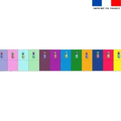 Coupon lingettes lavables motif ananas multicolores - Création Cat&Colours