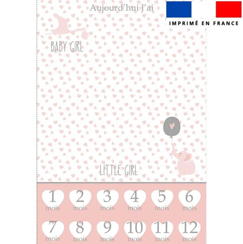 Coupon pour couverture mensuelle bébé motif baby rose et gris