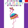 Coupon pour serviette de plage motif mexico
