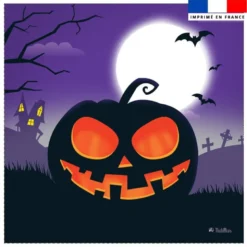 Coupon 45x45 cm imprimé citrouille d'halloween - Création Nidillus Carémoli