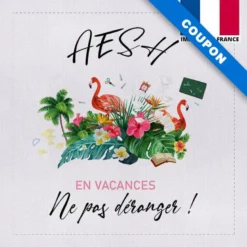 Coupon 45x45 cm motif AESH en vacances