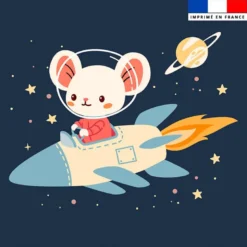 Coupon 45x45 cm motif animaux dans l'espace souris