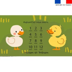 Coupon 135x74 cm pour couverture mensuelle jumeaux personnalisée - Animaux de la ferme