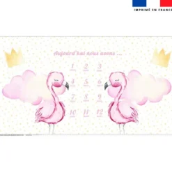 Coupon 135x74 cm pour couverture mensuelle jumeaux motif sweet flamant rose