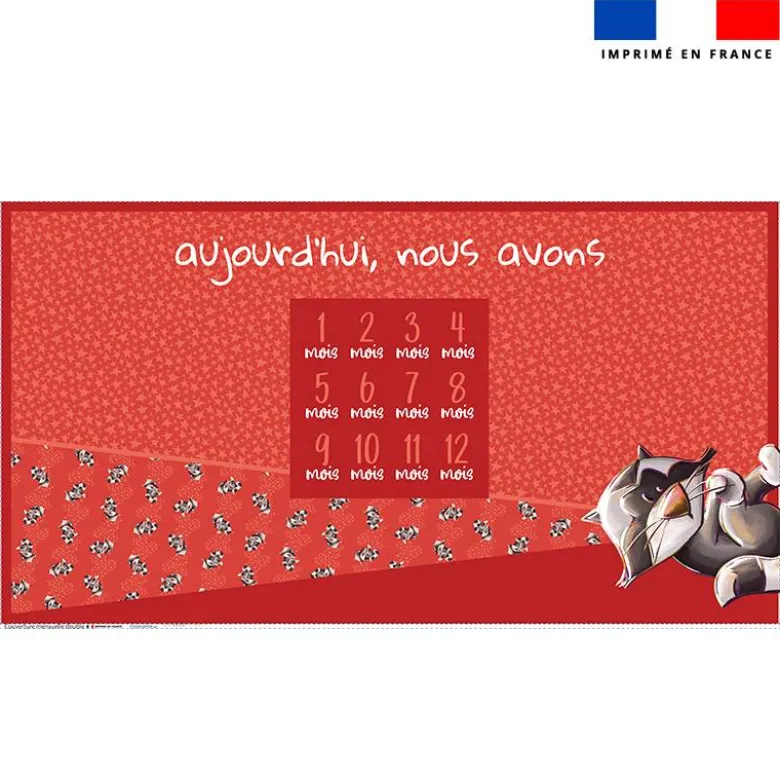 Coupon 135x74 cm pour couverture mensuelle jumeaux motif bébé raton - Création Stillistic