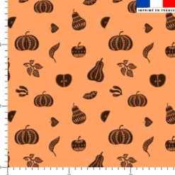 Cucurbitacée ethnique marron- Fond orange