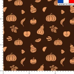 Cucurbitacée ethnique orange - Fond marron