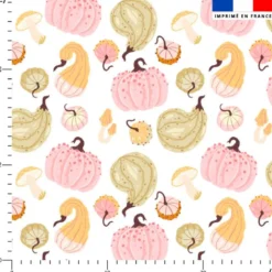 Cucurbitacées douceurs d'automne pastel - Fond blanc