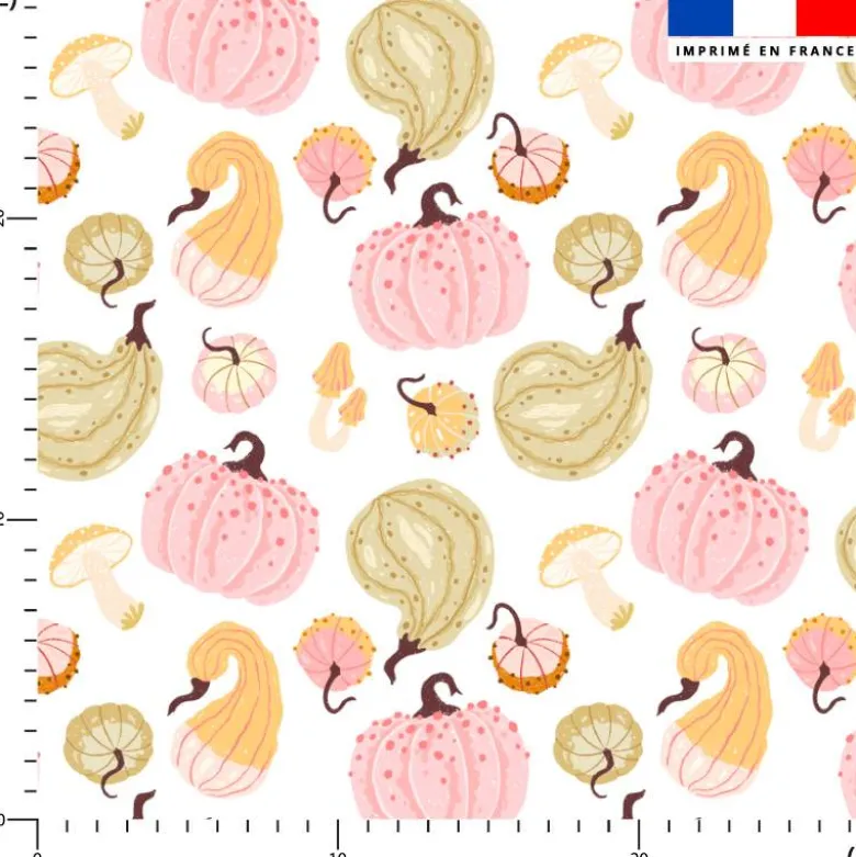Cucurbitacées douceurs d'automne pastel - Fond blanc