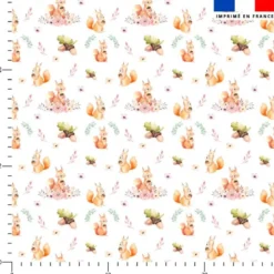 Ecureuils et couronnes de fleurs - Fond blanc