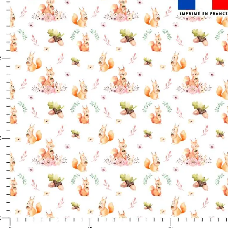 Ecureuils et couronnes de fleurs - Fond blanc