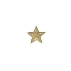 Ecusson petite étoile dorée