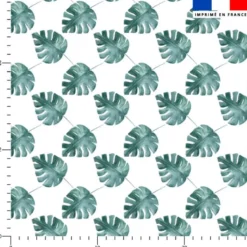 Feuille monstera aquarelle - Fond blanc