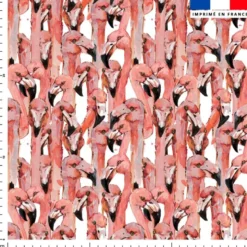 Flamant rose aquarelle - Fond blanc