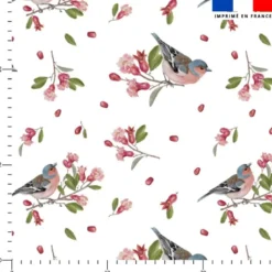 Fleur de grenade et pinson - Fond blanc