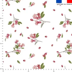 Fleur de grenade et pépin- Fond blanc