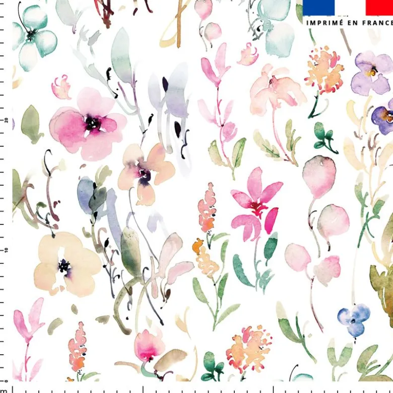 Fleurs et plantes de printemps - Fond blanc