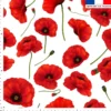 Grand coquelicot - Fond blanc