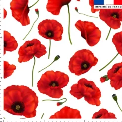 Grand coquelicot - Fond blanc