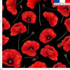 Grand coquelicot - Fond noir