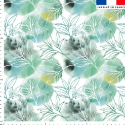 Grandes feuilles vertes - Fond blanc