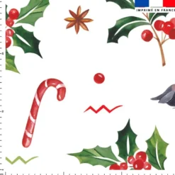 Gui et sucre d'orge de noel - Fond blanc