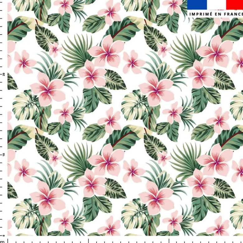 Hibiscus et feuilles de palmier- Fond blanc