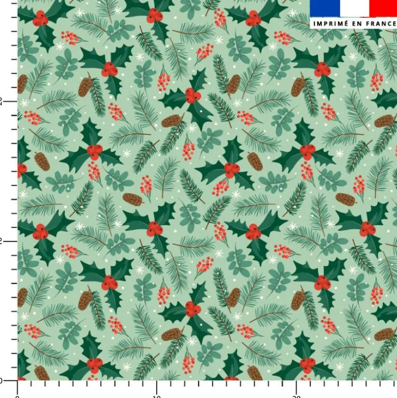 Houx de noel - Fond vert clair