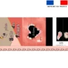 Kit couture sac cabas motif la plus belle des fleurs