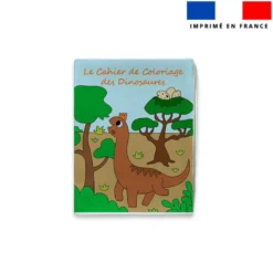 Kit livre à colorier des dinosaures