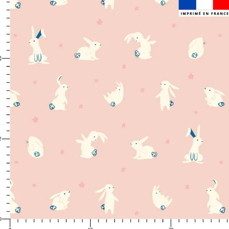 Lapin blanc - Fond beige rosé