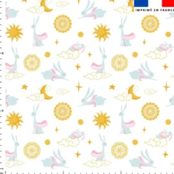 Lapin et soleil - Fond blanc