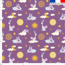 Lapin et soleil - Fond violet