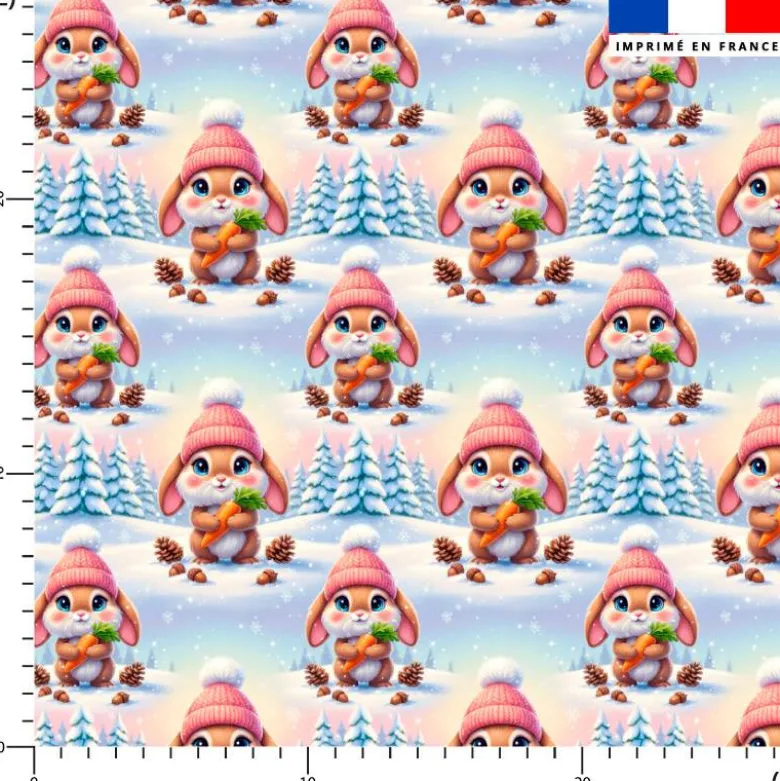 Lapin hiver glacé - Fond bleu et rose