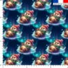Loutre aurore boréale - Fond bleu