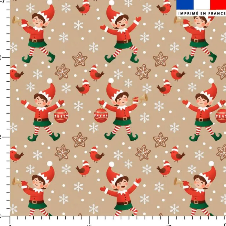 Lutin et biscuit de noël - Fond beige