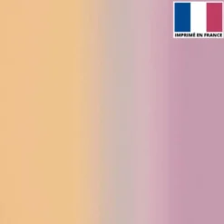 Lycra imprimé dégradé chair et lilas