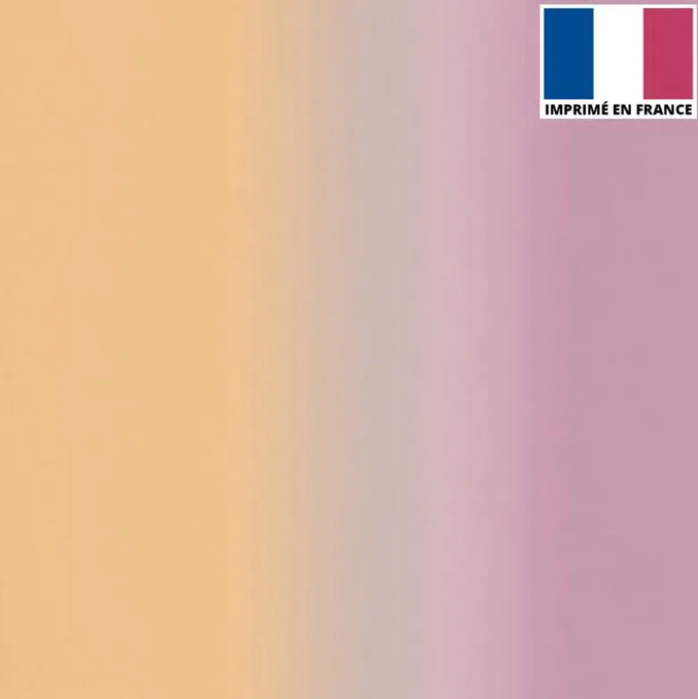 Lycra imprimé dégradé chair et lilas