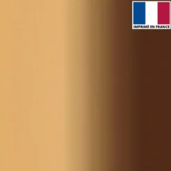 Lycra imprimé dégradé chair et marron