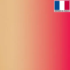 Lycra imprimé dégradé chair et rose