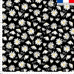 Marguerite et pétales blanches - Fond noir