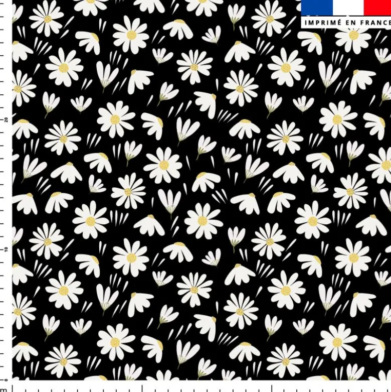 Marguerite et pétales blanches - Fond noir
