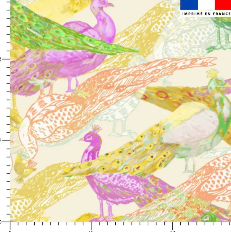 Paon coloré - Fond crème - Création Lili Bambou Design
