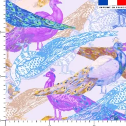 Paon coloré - Fond parme - Création Lili Bambou Design