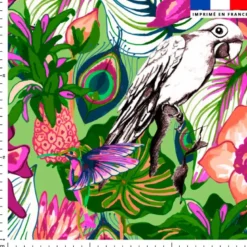Paradis tropical - Fond vert - Création Lili Bambou Design